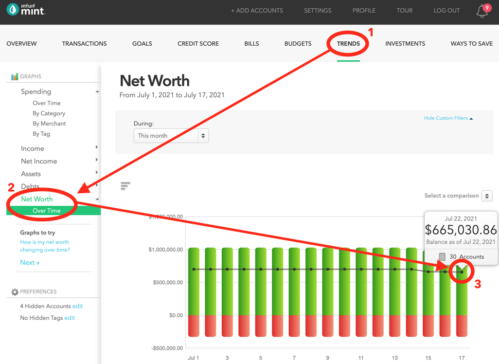 Determining net worth with Mint