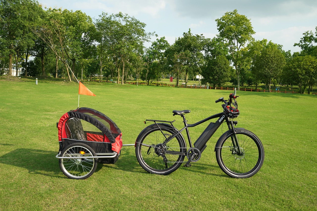 bike with cargo tow on green grass