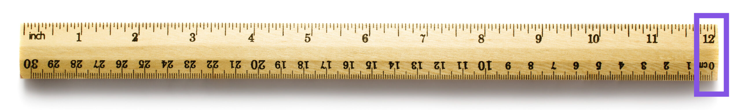 a ruler with 12 inches noted